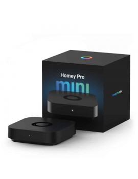 Homey Pro mini