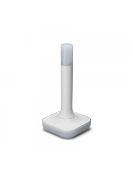 Home Assistant ZBT-2 Connect Zigbee / Thread Adapter